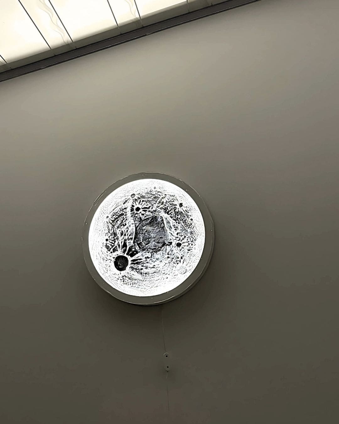 🌕 LUNA MAGISTRAL® Hecha a mano, diseñada para durar toda la vida - Cocogadgets